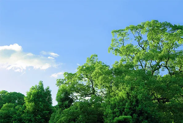 起床