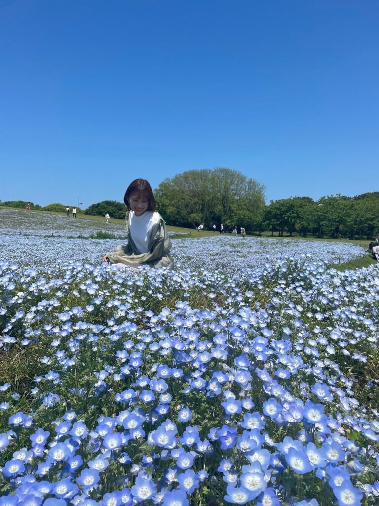 綺麗なお花をみて癒されてきました 健康住宅株式会社