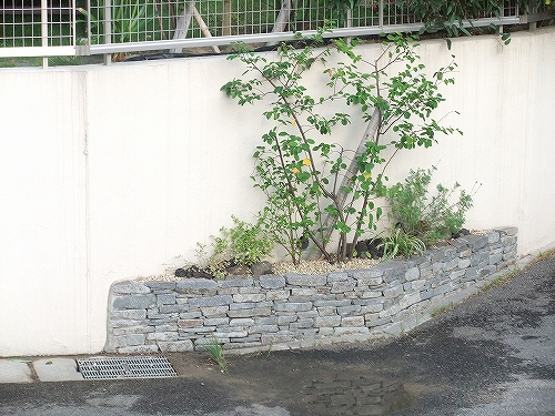 外構のアイデア 植栽の演出 健康news 福岡で注文住宅を建てるなら 外断熱にこだわる 健康住宅へ 外構のアイデア 植栽の演出 健康news 福岡で注文住宅を建てるなら 外断熱にこだわる 健康住宅へ