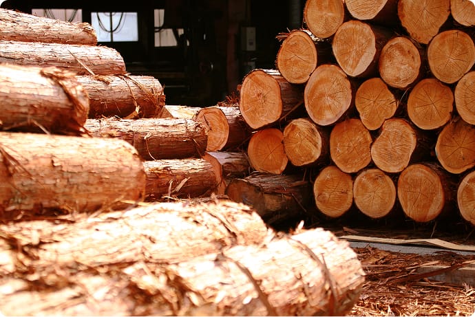 地域材の活用と森林保全