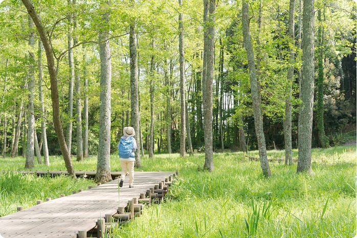 親世代の健康寿命