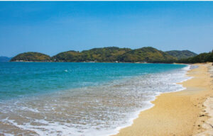 ブロッサムガーデン二丈深江 ー全6区画ー