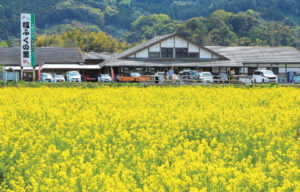 ブロッサムガーデン二丈深江 ー全6区画ー