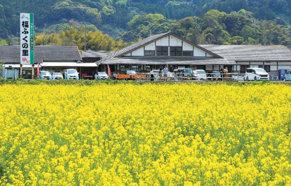 ブロッサムガーデン二丈深江 ー全6区画ー