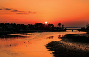 ブロッサムガーデン二丈深江 ー全6区画ー