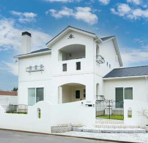 愛犬と暮らす暖炉のあるフレンチモダンなお家