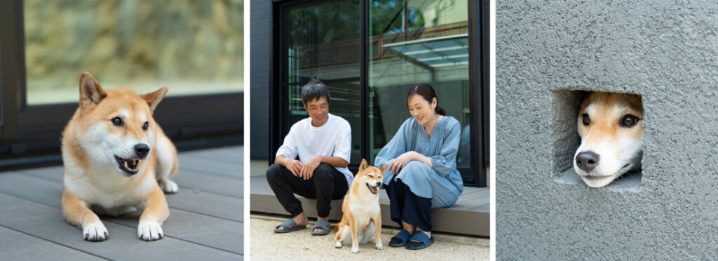 家族に見守られながら過ごす愛犬のいる、温かな室内の風景。庭先で家族と触れ合う愛犬、日常の癒しを感じるひととき