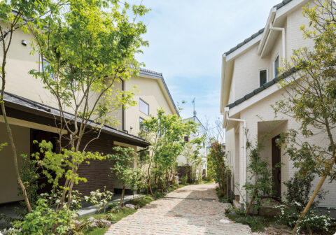 子育てマイホームパーク梅林